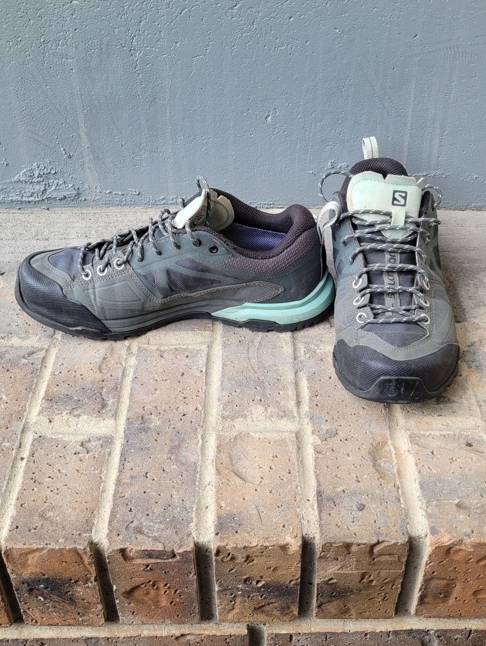Salomon X Alp Spry GTX hiking